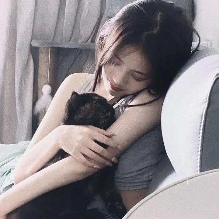 金装律师第四季